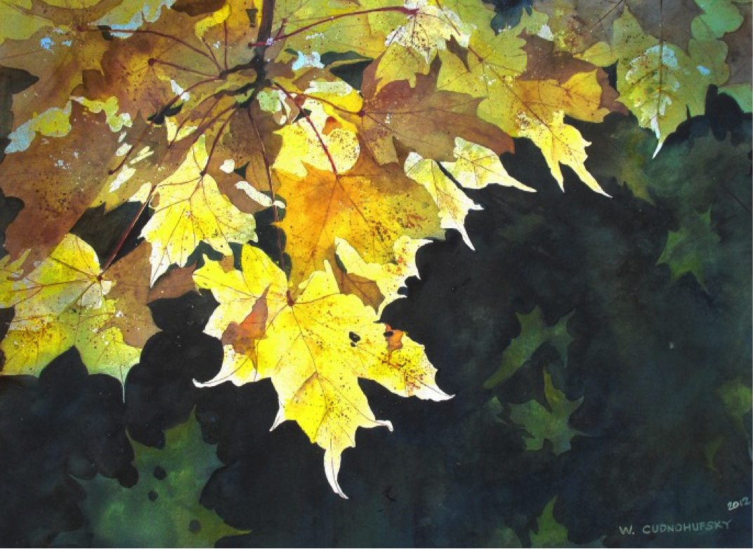 "Transparent Maple Leaves" by Walter Cudnohufsky
