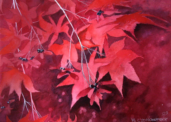 Red-japanese-Maple-leaves