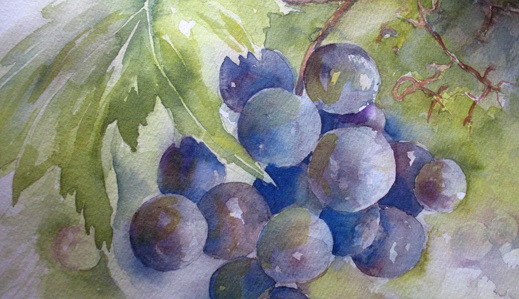 grapes